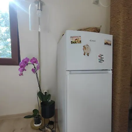 דירה Dream Loft In The Center Of *