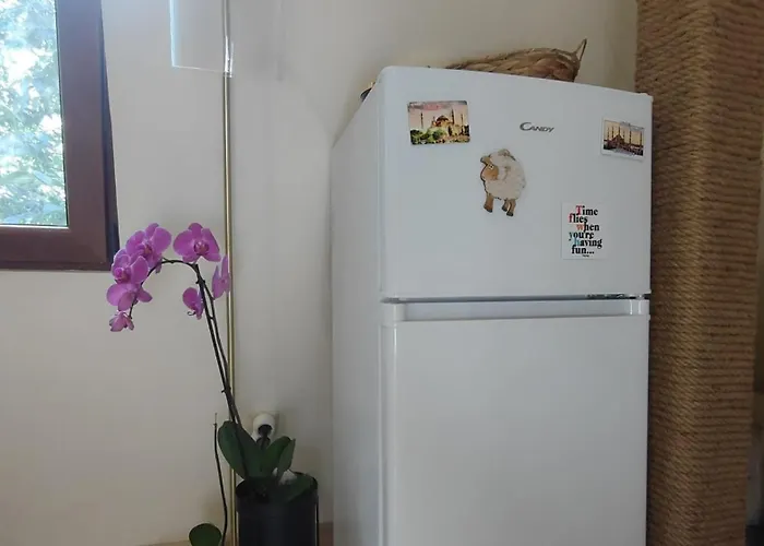 דירה Dream Loft In The Center Of *